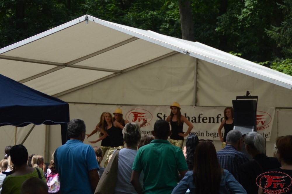 Steinhafenfest 2015_44